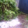 2007-07-09 Neige en juillet_l.jpg